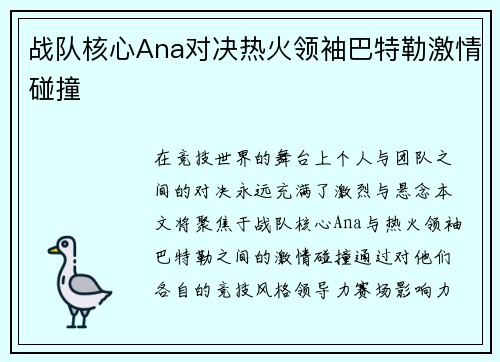 战队核心Ana对决热火领袖巴特勒激情碰撞